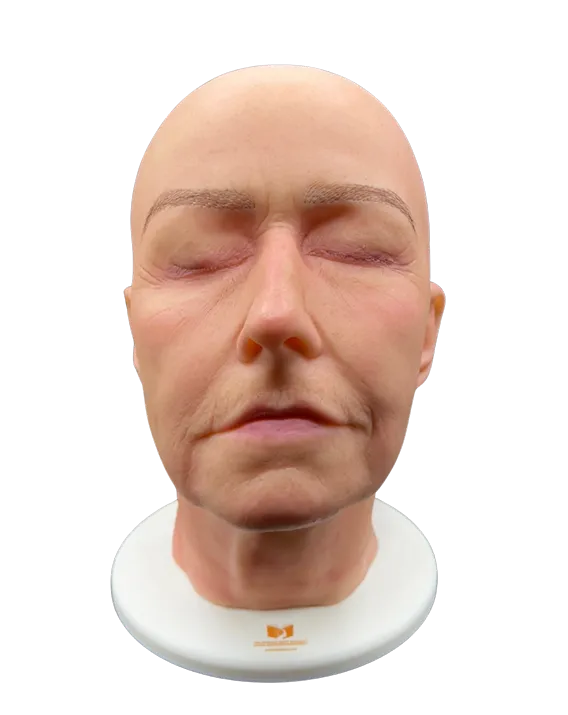 Anatomical Facial Injection Models