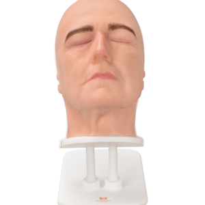 Anatomically Detailed Facial Injection Manikins