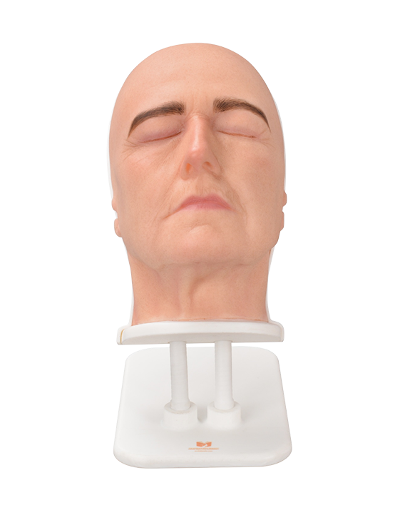 Anatomically Detailed Facial Injection Manikins